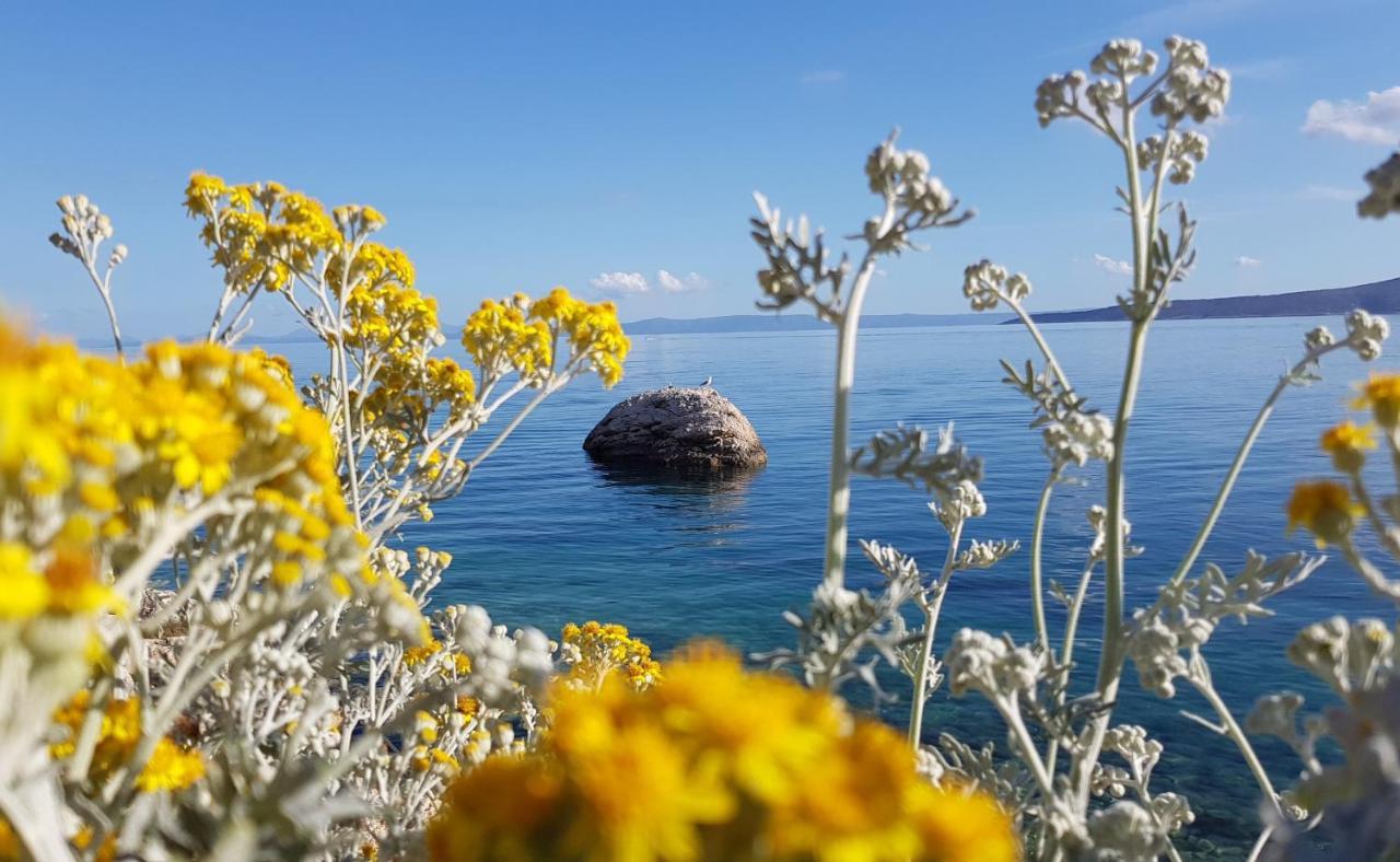Villa Skalinada With Sea View Brela Buitenkant foto